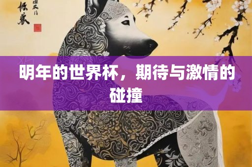 明年的世界杯,期待与激情的碰撞