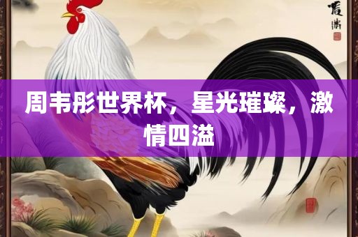 周韦彤世界杯，星光璀璨，激情四溢