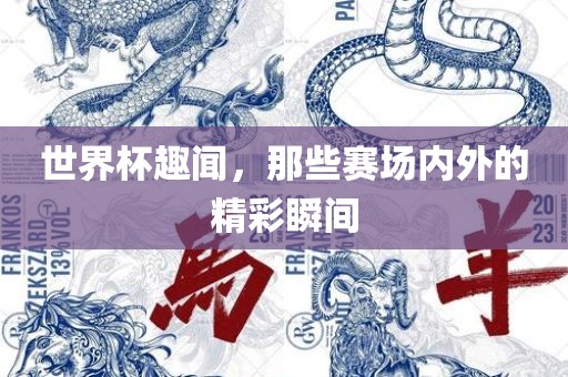 世界杯趣闻，那些赛场内外的精彩瞬间