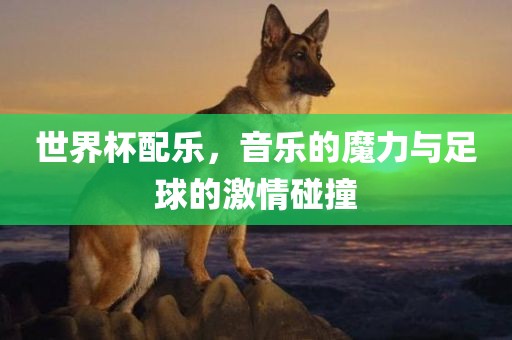 世界杯配乐,音乐的魔力与足球的激情碰撞