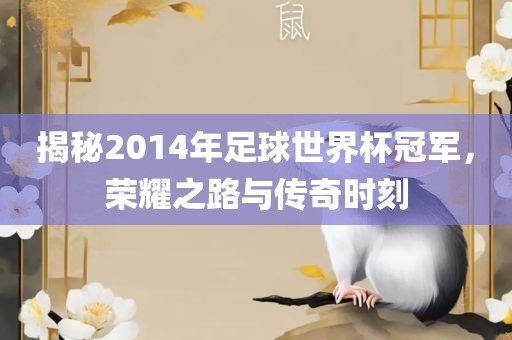 揭秘2014年足球世界杯冠军，荣耀之路与传奇时刻