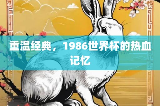 重温经典,1986世界杯的热血记忆