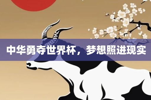 中华勇夺世界杯,梦想照进现实