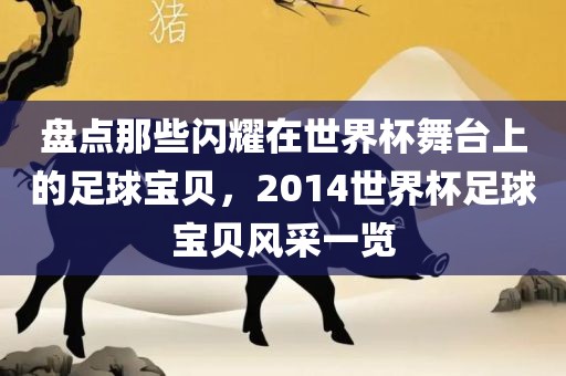 盘点那些闪耀在世界杯舞台上的足球宝贝,2014世界杯足球宝贝风采一览