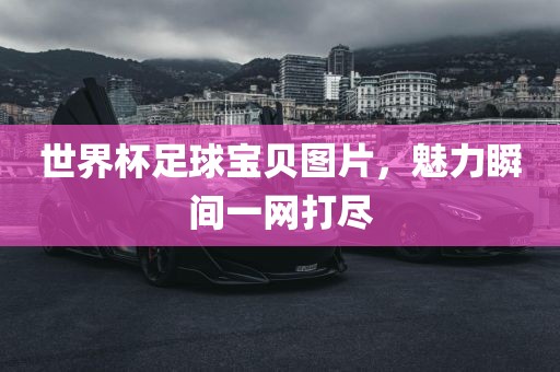 世界杯足球宝贝图片,魅力瞬间一网打尽