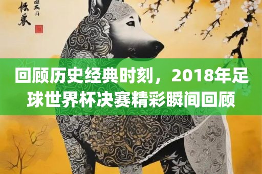 回顾历史经典时刻,2018年足球世界杯决赛精彩瞬间回顾