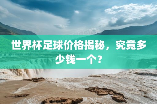 世界杯足球价格揭秘,究竟多少钱一个?