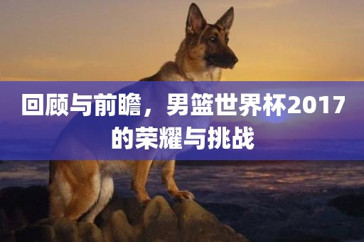 回顾与前瞻，男篮世界杯2017的荣耀与挑战