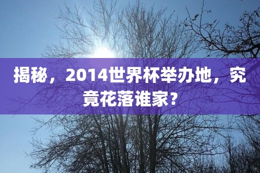 揭秘，2014世界杯举办地，究竟花落谁家？