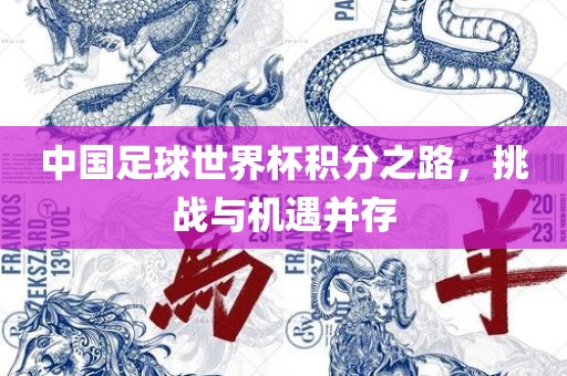 中国足球世界杯积分之路,挑战与机遇并存