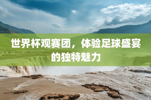 世界杯观赛团,体验足球盛宴的独特魅力