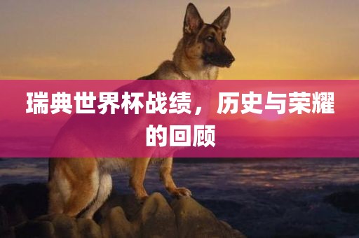 瑞典世界杯战绩，历史与荣耀的回顾
