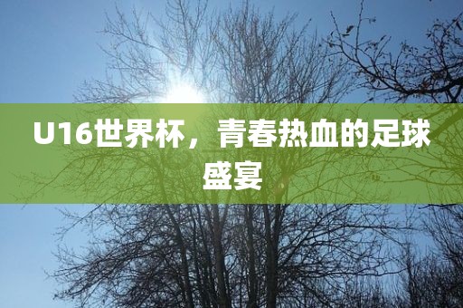 U16世界杯,青春热血的足球盛宴