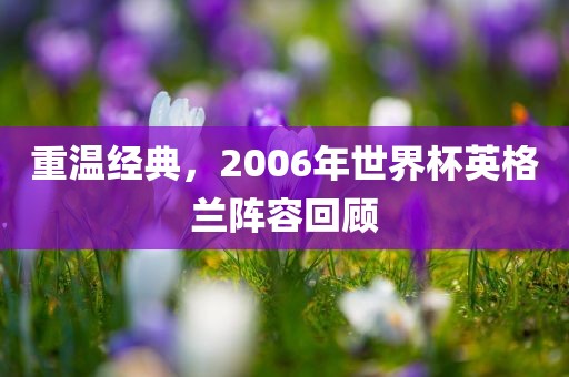 重温经典，2006年世界杯英格兰阵容回顾