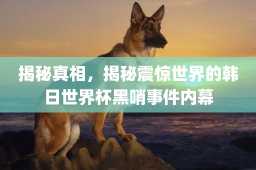 揭秘真相，揭秘震惊世界的韩日世界杯黑哨事件内幕