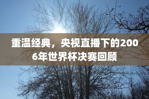 重温经典,央视直播下的2006年世界杯决赛回顾
