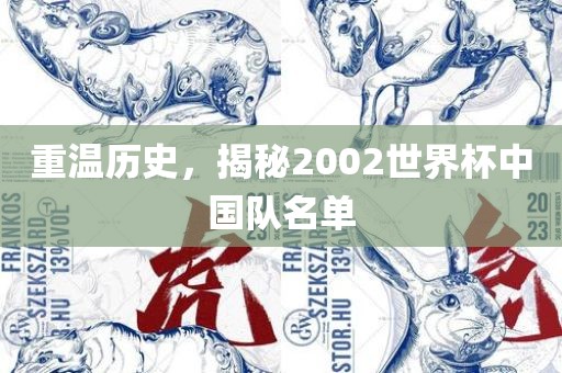 重温历史,揭秘2002世界杯中国队名单