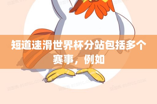 短道速滑世界杯分站包括多个赛事，例如