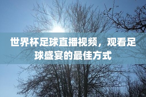 世界杯足球直播视频,观看足球盛宴的最佳方式