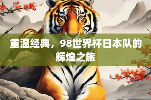 重温经典,98世界杯日本队的辉煌之旅