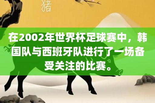 在2002年世界杯足球赛中,韩国队与西班牙队进行了一场备受关注的比赛。