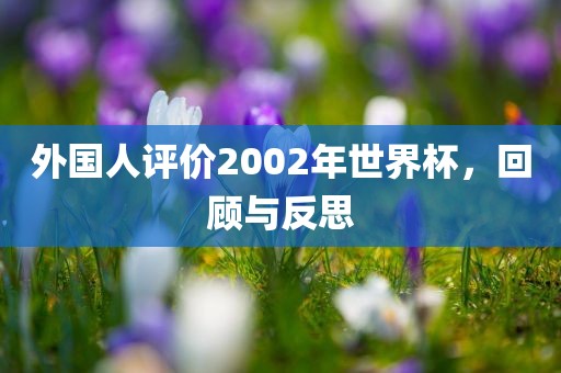 外国人评价2002年世界杯,回顾与反思