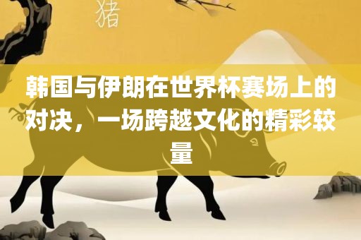 韩国与伊朗在世界杯赛场上的对决,一场跨越文化的精彩较量