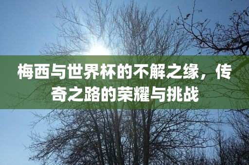 梅西与世界杯的不解之缘，传奇之路的荣耀与挑战