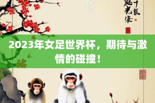 2023年女足世界杯，期待与激情的碰撞！