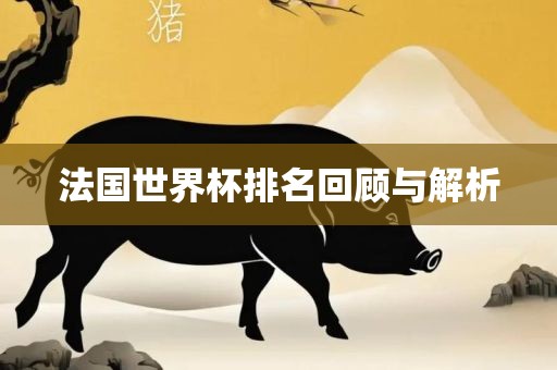 法国世界杯排名回顾与解析