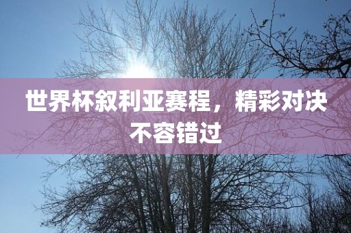 世界杯叙利亚赛程,精彩对决不容错过