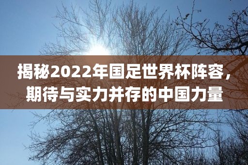揭秘2022年国足世界杯阵容，期待与实力并存的中国力量
