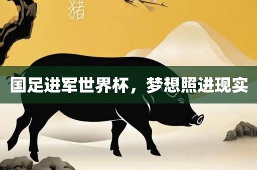 国足进军世界杯,梦想照进现实