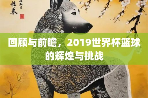 回顾与前瞻，2019世界杯篮球的辉煌与挑战