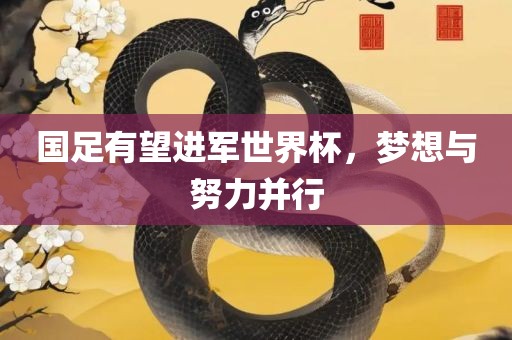 国足有望进军世界杯,梦想与努力并行