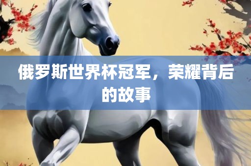 俄罗斯世界杯冠军,荣耀背后的故事