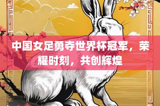 中国女足勇夺世界杯冠军,荣耀时刻,共创辉煌