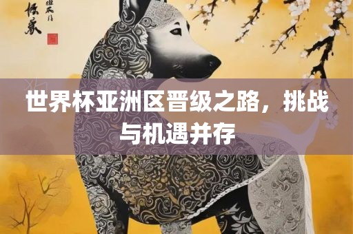 世界杯亚洲区晋级之路,挑战与机遇并存