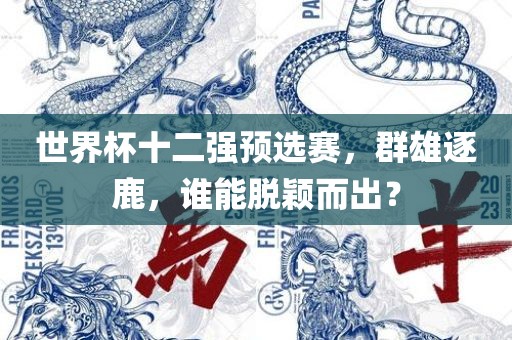 世界杯十二强预选赛,群雄逐鹿,谁能脱颖而出?