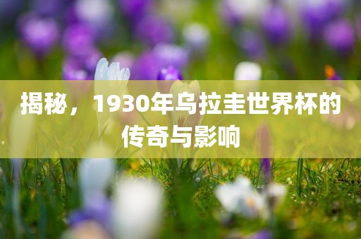 揭秘,1930年乌拉圭世界杯的传奇与影响