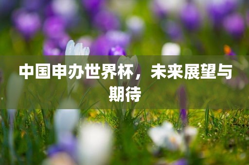 中国申办世界杯，未来展望与期待