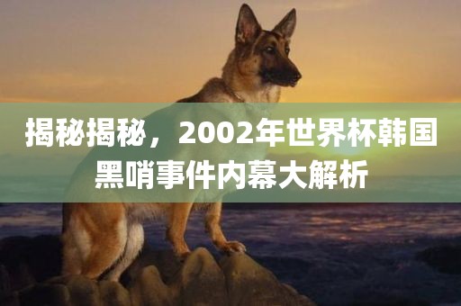 揭秘揭秘，2002年世界杯韩国黑哨事件内幕大解析