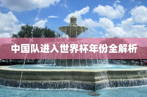 中国队进入世界杯年份全解析