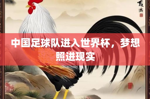 中国足球队进入世界杯，梦想照进现实