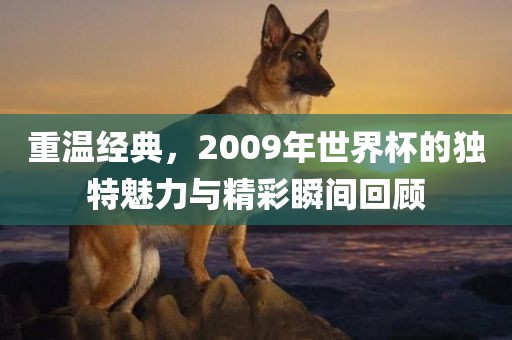 重温经典,2009年世界杯的独特魅力与精彩瞬间回顾