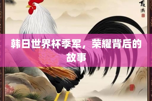 韩日世界杯季军,荣耀背后的故事