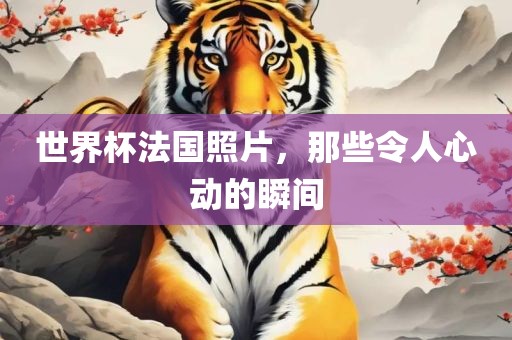 世界杯法国照片,那些令人心动的瞬间