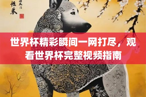 世界杯精彩瞬间一网打尽,观看世界杯完整视频指南