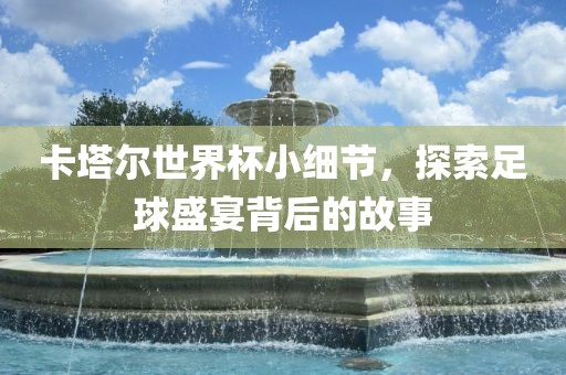 卡塔尔世界杯小细节,探索足球盛宴背后的故事