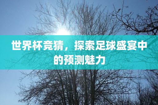 世界杯竞猜，探索足球盛宴中的预测魅力